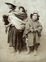 カハマルカタイプ（アルブメンプリント）